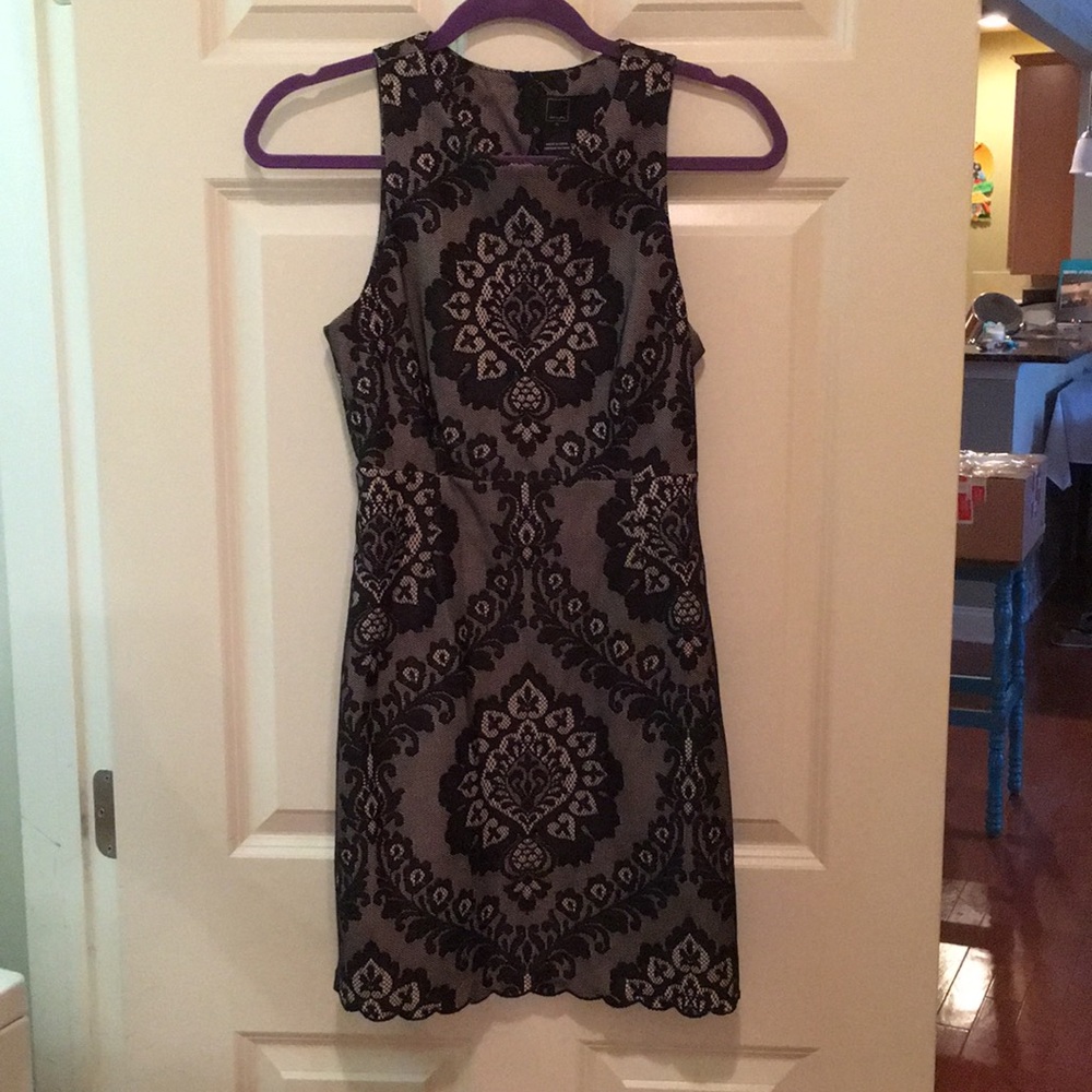 Dolce Vita Scalloped Lace Dress